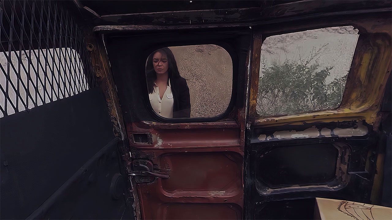 A woman seen through the van's window